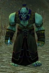 Burning Blade Acolyte