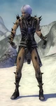 Necromancer Obsidian armor m.jpg