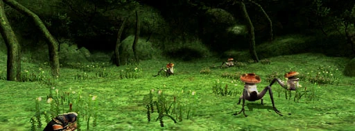 The-boyahda-tree-pic.jpg