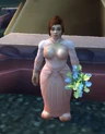 Noblegarden Vendor