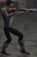 Blunderbuss Picture