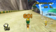 1049076-koopa caped