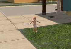 Sim Modder