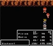 NES Victory FFII
