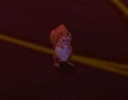 Aurosalia Squirrel