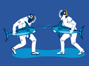 Swordfish Fencing1ubDetail