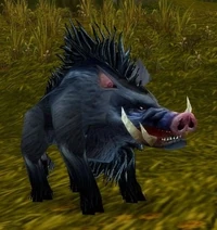 Image of Longsnout