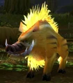 Porcine Princess.jpg