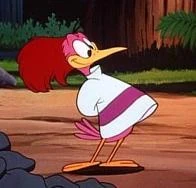 Aracuanbird