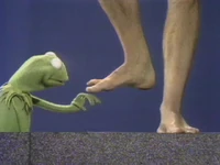 Kermit feet.jpg