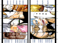 C255 cover Espada
