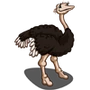 Male Ostrich-icon