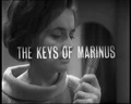 Tcmarinus6