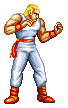 Fatal Fury: King of Fighters