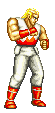 Fatal Fury 2