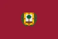 Baocian Flag.png