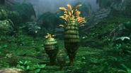 Pinapple Plant