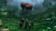 Puffball Tree