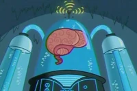 BigBrain