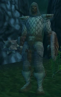 Image of Cursed Paladin