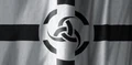 BWAsgaardFlag-1.jpg