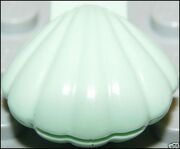 Aqua Clam
