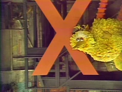 BigBirdXUpsideDown