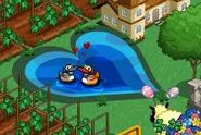 Manderin Pond