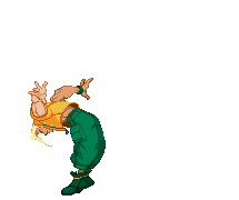 http://images2.wikia.nocookie.net/__cb20100409031014/streetfighter/images/5/51/Charlie-kick1.gif