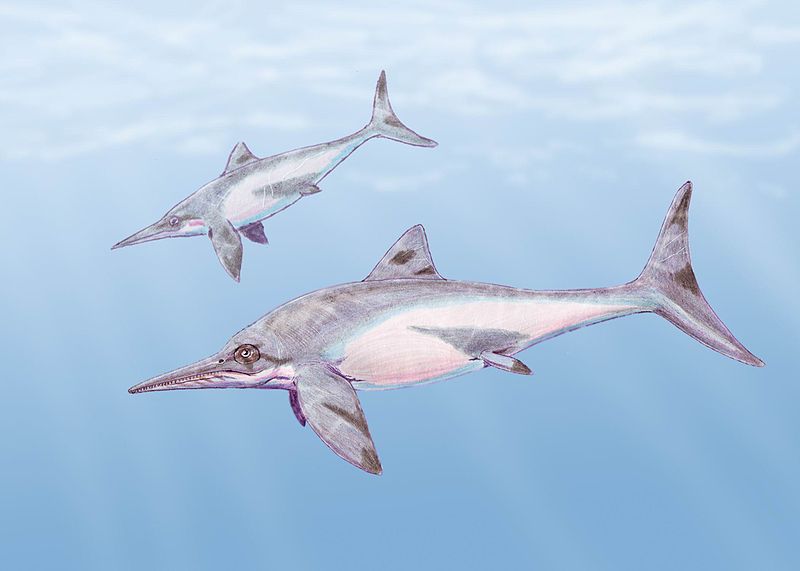 ichthyosaurus dinosaur