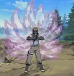 Kujaku myouhou zan