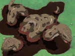 Doton yomi numa
