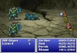 FFI Ice Shield