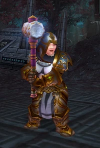 Image of Argent Crusader