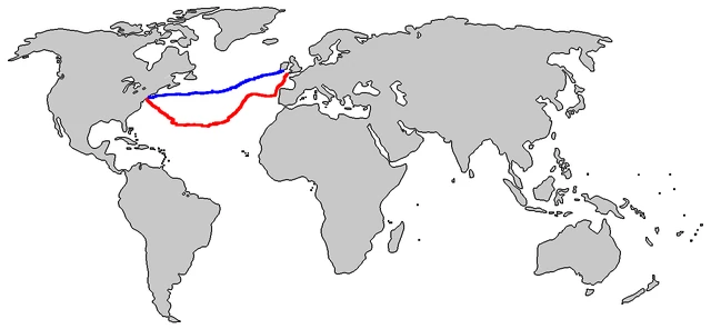 Blank+world+map+with+countries+outlined