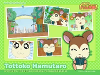 Noppo1280.jpg