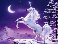 Unicorn-image-1-.jpg