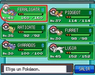 Equipo Pokémon HgSs
