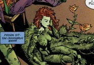 Justice Leagues Ivy