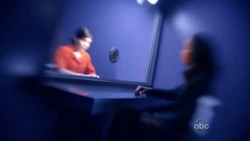 Marcie's vision