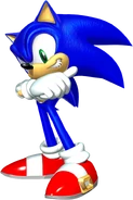 SonicHedge