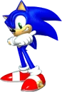 SonicHedge