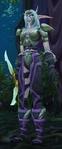 Astranaar Sentinel