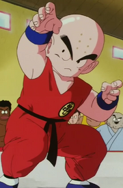 KrillinDragonBallZWMAT