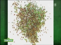 Folge2529-2