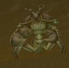 Muckshell Scrabbler