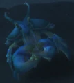 Coast Crawl Deepseer.jpg