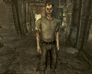 Fallout3 2009 Gob