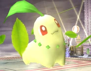 Chikorita SSBB