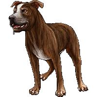 Huge item pitbull 02.gif